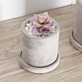 round Shape Cement Flower Pots & Planters Set High- Small Cylinder Flower Pots