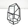 Small Geometric Shaped Terrarium Brass Glass Planter Holder Table Vase