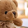 Teddy Bear Toys