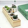 Spot Succulent Flowerpot Wooden Box 5 Grid Mutuo Succulent Wooden Box Processing Customization