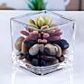 Stock Clear Glass Bud Flower Square Cube Vase