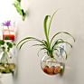 Terrarium round Globe Shape Clear Hanging Glass Vase Flower Plants Terrarium Container Micro Landscape