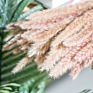 Top Sellers Decorative Indoor Grass Dried Flower Natural Color Pampas Grass for Home Decoration