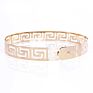 Width 3.5Cm Decorative Waist Metal Belts