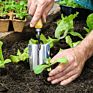 Winslow&Ross Stainless Steel Garden Soil Trowel Scoop Dig Tool Yard Spade with Manchurian Ash Wood Handle Shovel