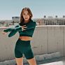 Women Athletic Wear High Stretch Fitness Yoga Wear Workout Two Piece Sports Seamless Long Sleeve Crop Top and Bike Shorts Sets
