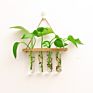 Wooden Stand Popular Hanging Planter Vase Glass Tube Hanging Plant Terrarium Container