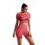 Yoga Sport Set Workout Gym Activewear Suit Short Sleeve Crop Top T Shirt Booty Leggings Set for Women