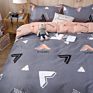 Luxury Printed Pillow Case Bed Sheet and Quilting Comforter Sets Quilt Bedding 4 Piece