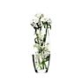 10 Inch 12Inch Cylinder Flower Restaurant Table Hand Blown Glass Vase