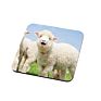 10Cm Personalized Printed Cork Coasters Sublimation Square Cork Coaster