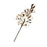 21Inch Designs Natural Artificial Dried Flowers Decorative Flowers Bionic Balls Natural Cotton Stems 3 Pack 6