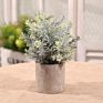 3 Pack Mini Potted Faux Greenery Artificial Plastic Eucalyptus Rosemary Plants for Home Office Desk Room Decoration