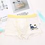 3Pcs/Box Gift Packed Dinosaur Children's Underwear Boy Boxer Shorts Kids Underwear for Kids