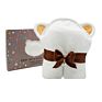 600 Gsm Premium Extra Soft Hooded Bamboo Baby Bath Towel and Washcloth, Organic and Hypoallergenic Towel