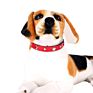 6 Colors Star Studded Dog Collar Leather Puppy Neck Strap Cat Collar Adjustable Pet Collars for Small Dogs S/M/L