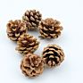 9 Pcs White Tipped Natural Christmas Hanging Pine Cones Ornaments for Home Wedding Decorations