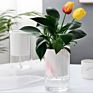 Arrivals Self Watering Pot Planter Pot Self Watering Plant Pots For