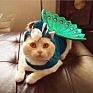 Arrive Funny Cute Peacock Halloween Christmas Costume for Cats Dogs Small Animals