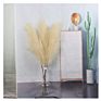 Artificial Large Faux Pampas Grass