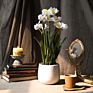 Artificial Plants in Pots Daffodils Artificial Flower Plant Desktop Artificial Flowers Artificial Plants and Flowers