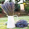 C2146 Natural Real Pressed Florals Dry Lavender Bouquet Dried Lavender Flowers for Wedding Home Decoration