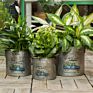 Christmas Galvanized Metal Flower Bucket Farmhouse Rustic round Tub Galvanized Pot Metal Tin Planters for Garden Home Set of 3
