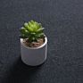 Circle Cement Flower Pots Nordic Concrete Decorative Table Flower Pots in White Pot Flower Garden Hotel