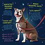 Classic Design Adjustable Gentle Comfortable Control Freedom No Pull Dog Harness for Easy Dog Walking