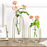 Clear Geometric Plant Pot Centerpiece Plant Vase with Iron Art Frame Stand