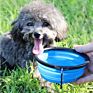 Collapsible Dog Bowl Foldable Expandable Cup Dish for Pet Cat Food Water Feeding Portable Travel Bowl