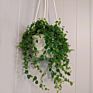 Cotton Rope Hanging Planter Woven Plant Basket Indoor Pot Macrame Plant Hangers Modern Storage Organizer Home Decor