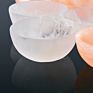 Crystal Carved Selenite Bowl Crystals Carvings for Decoration