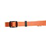 Customize Collar Dog Premium Nylon Webbing Dog Collar