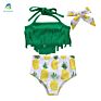 Cute Tassel Top Bikini Set Dinosaur Print Shorts Baby Swimwear Suit Dggs-024