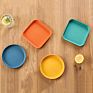 Cute Vintage Fruit Dish Unbreakable Square Dinner Plates Plastic Plate Set