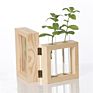 Desktop Glass Planter Diy Test Tube Vase with 4*6" Picture Frame,Glass Terrariumin Wooden Stand for Display Hydroponics Plants