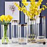 Different Sizes Hydroponic Clear Plant Tall Cylinder Glass Flower Vase