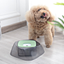 Dog Bowl Cat Bowl Button Automatic Water Refill Food All in One Transparent Grey Pet Bowl