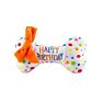 Doggie Cat Party Gift Squeaky Cleaning Teeth Dorable Chew Birthday Cake Cupcake Bone Dog Plush Toy
