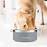 Double Wall 32 Oz 64 Oz Dog Feeder Stainless Steel Insulated Dog Water Bowl Dog Food Bowls