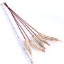 Dried Artificial Flower Okra Use Natural Bouquet Warm Preserved Long Lasting for Diy Wedding Colorful Decorative Flower