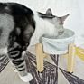 Durable Ceramic Pet Dog Bowl Marble Feeder Bowls for Dogs and Cats round Pet Ceramic Feeder Dog Food Bowl