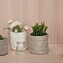 Eco-Friendly Krft Paper Washable Nordic round Flower Pot Holder