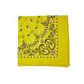 Fanni 22X22 Inches Paisley Bandana Headband Multifunction Cotton Square Face Covering Bandana Handkerchief Scarfs