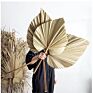 Flora Sell Dried Flower Dried Palm Leaves for Wedding Decoration