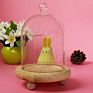 Glass Cloche Bell Jar Custom Large Small Bell Glass Cloche