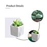 Green Individual Mini Faux Fake Artificial Succulent Cactus Plant Bonsai Succulent Assorted Set