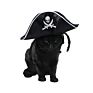 Halloween Party Pet Supplies Costume Headwear Pet Dog Cat Skulls Pirate Hat