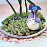 Hanging Plant round Glass Vase Terrarium for Indoor Decoration